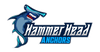 HammerHead Anchors